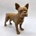 Mô hình chú chó Boston Terrier đang đứng - Thumbnail 2