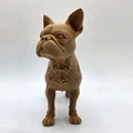Mô hình chú chó Boston Terrier đang đứng - Thumbnail 3
