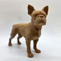 Mô hình chú chó Boston Terrier đang đứng - Thumbnail 4
