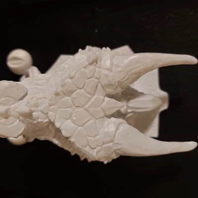 Tay nắm cửa hình rồng (Dragon Door Knocker)