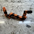 Snakey Chain (Đồ chơi Fidget) - Thumbnail 3