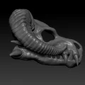 Đầu lâu rồng sừng cừu (RAM-HORN Dragon Skull) - Thumbnail 1
