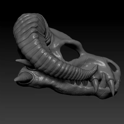 Đầu lâu rồng sừng cừu (RAM-HORN Dragon Skull)