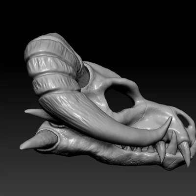 Đầu lâu rồng sừng cừu (RAM-HORN Dragon Skull)