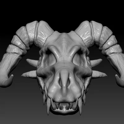 Đầu lâu rồng sừng cừu (RAM-HORN Dragon Skull)