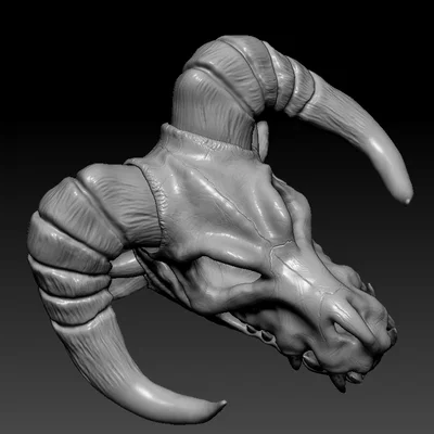 Đầu lâu rồng sừng cừu (RAM-HORN Dragon Skull)