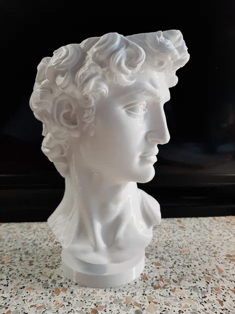 Chậu cây trang trí tượng David (Květináč David) in 3D độc đáo - Image 1