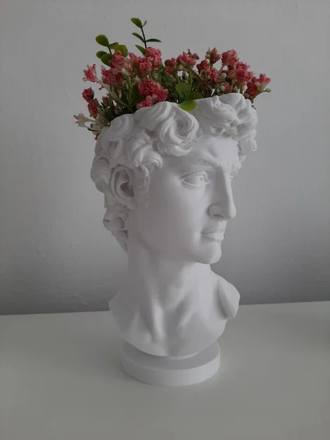 Chậu cây trang trí tượng David (Květináč David) in 3D độc đáo - Image 2
