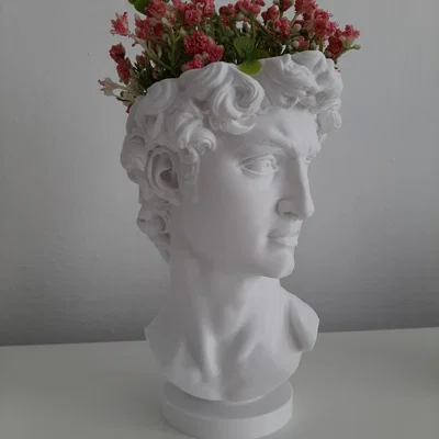 Chậu cây trang trí tượng David (Květináč David) in 3D độc đáo
