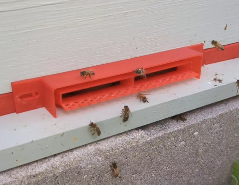 Cửa Chặn Sentinel Cho Ong Mật (Ngăn chặn bọ cánh cứng nhỏ) - Image 1