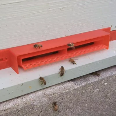 Cửa Chặn Sentinel Cho Ong Mật (Ngăn chặn bọ cánh cứng nhỏ)