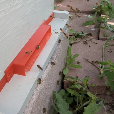 Cửa Chặn Sentinel Cho Ong Mật (Ngăn chặn bọ cánh cứng nhỏ)