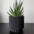 Chậu cây Roller Planter - Thiết kế Twist and Snap - Thumbnail 1