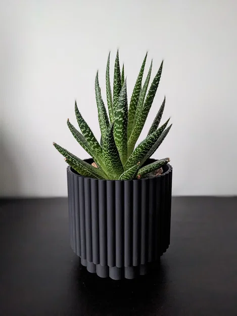 Chậu cây Roller Planter - Thiết kế Twist and Snap - Image 2