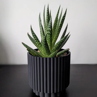 Chậu cây Roller Planter - Thiết kế Twist and Snap