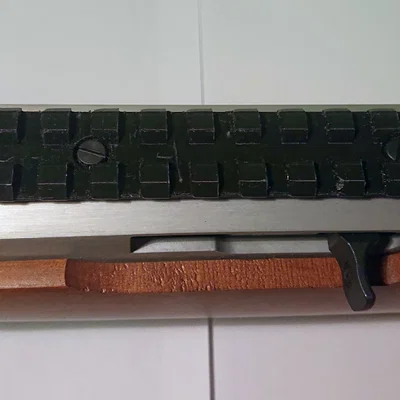 Ray Picatinny có rãnh khuyết ngắm cho Ruger 10/22