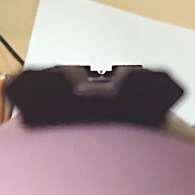 Ray Picatinny có rãnh khuyết ngắm cho Ruger 10/22