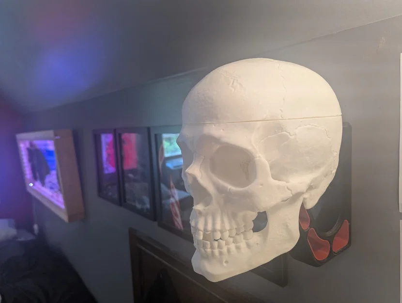 Giá treo mũ bảo hiểm hình đầu lâu (Skull Helmet Holder) - Image 2