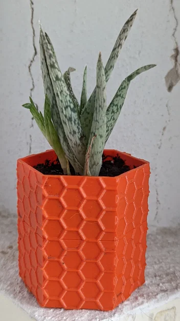 Chậu cây lục giác tự tưới nước (flower pot hexagon) - Image 2