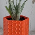 Chậu cây lục giác tự tưới nước (flower pot hexagon) - Thumbnail 2