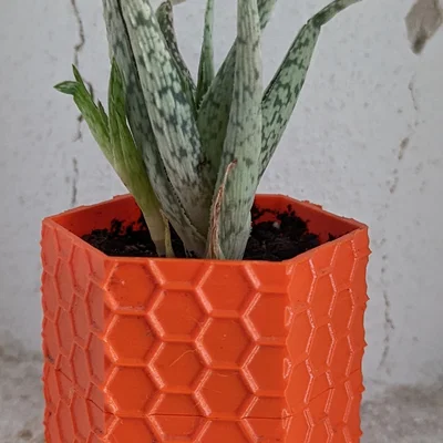 Chậu cây lục giác tự tưới nước (flower pot hexagon)