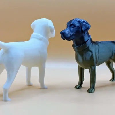 Mô hình chú chó Labrador Retriever in 3D tinh xảo