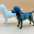 Mô hình chú chó Labrador Retriever in 3D tinh xảo - Thumbnail 2
