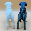 Mô hình chú chó Labrador Retriever in 3D tinh xảo - Thumbnail 3