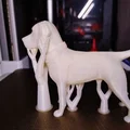 Mô hình chú chó Labrador Retriever in 3D tinh xảo - Thumbnail 4
