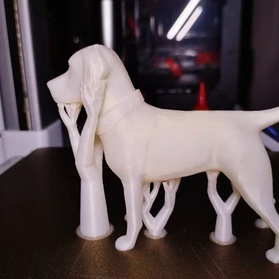 Mô hình chú chó Labrador Retriever in 3D tinh xảo