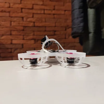 Canopy "SmollPP" cho Tinywhoop