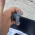 Bộ mô hình gia đình sư tử - Thumbnail 6