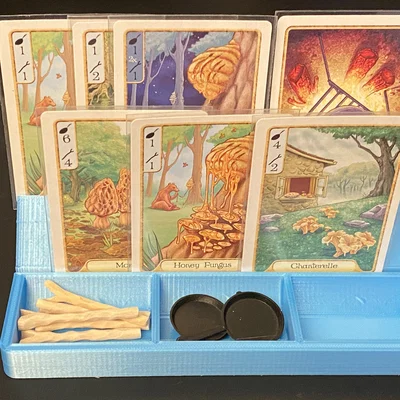 Khay Đựng Bài và Phụ Kiện Game