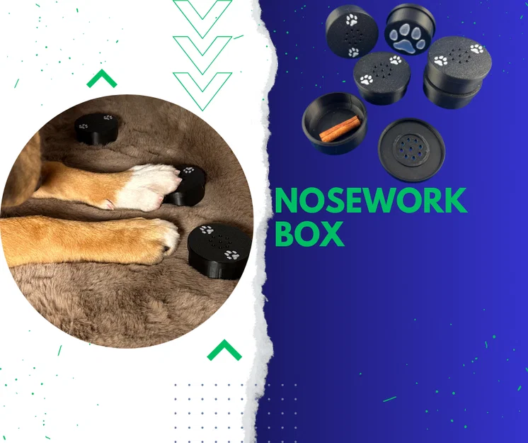 Hộp Huấn Luyện Đánh Hơi Cho Chó - Nosework - Image 1