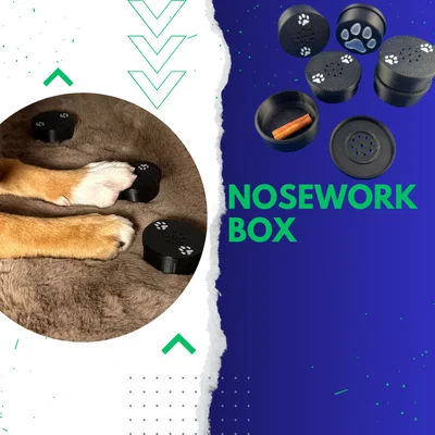 Hộp Huấn Luyện Đánh Hơi Cho Chó - Nosework