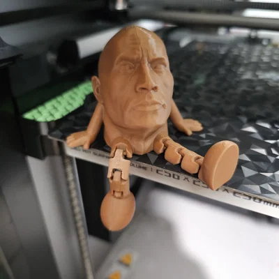 Mô hình 3D Buddy The Rock Johnson linh hoạt cực chất