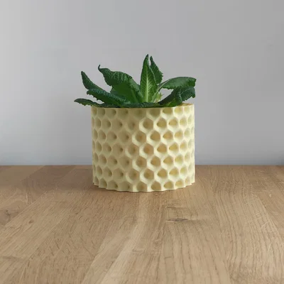 Chậu cây họa tiết tổ ong (Planter) in 3D tinh tế, đẹp mắt