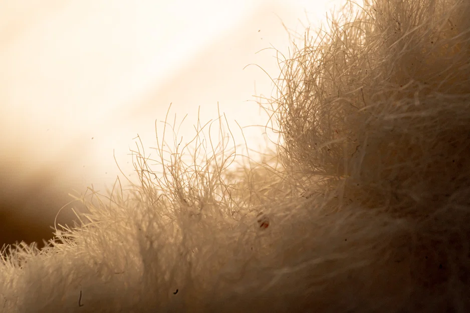 Vòng đảo đầu cho máy ảnh Sony E-Mount - Hỗ trợ mọi kích thước ống kính - Image 2