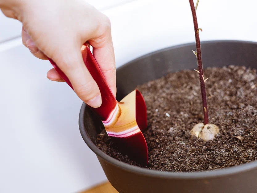 Xẻng làm vườn nhỏ - Image 2