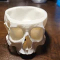 Tô đựng rác filament hình hộp sọ người - Thumbnail 1