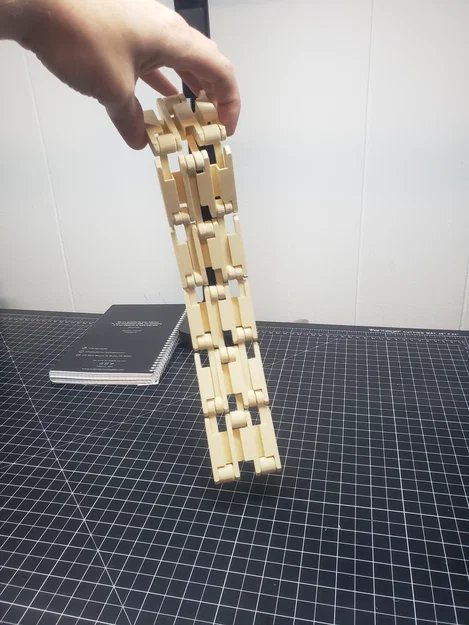 Đồ chơi Jacobs Ladder (Mẫu in liền khối - Print-in-Place) - Image 3