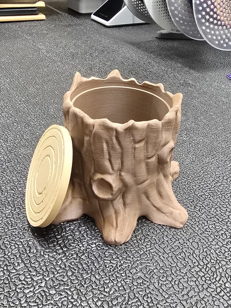 Hộp Đựng Hình Gốc Cây - Bao Gồm Đế Và Nắp - Image 2