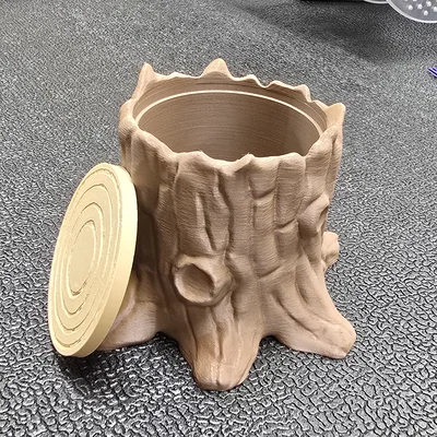 Hộp Đựng Hình Gốc Cây - Bao Gồm Đế Và Nắp