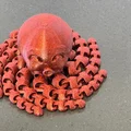 Mô hình chú bạch tuộc dễ thương (Cute Octopus) - Fidget Toy in 3D - Thumbnail 2
