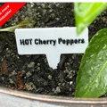Nhãn cây cảnh tùy chỉnh (Customizable Plant Labels) - Thumbnail 1