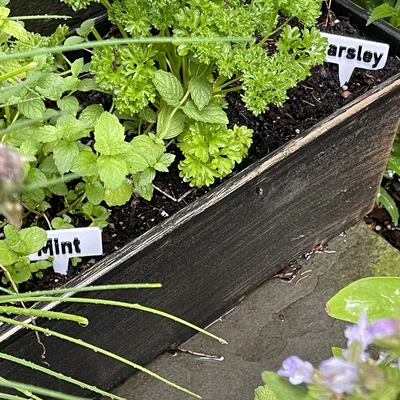 Nhãn cây cảnh tùy chỉnh (Customizable Plant Labels)