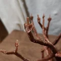 Mô hình trang trí độc lạ Middle Finger Tree in 3D - Thumbnail 6