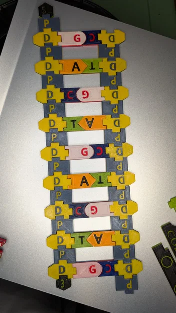 Magnetic DNA / RNA Tiles (Bộ gạch từ tính DNA / RNA) - Image 1