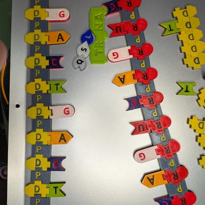 Magnetic DNA / RNA Tiles (Bộ gạch từ tính DNA / RNA)