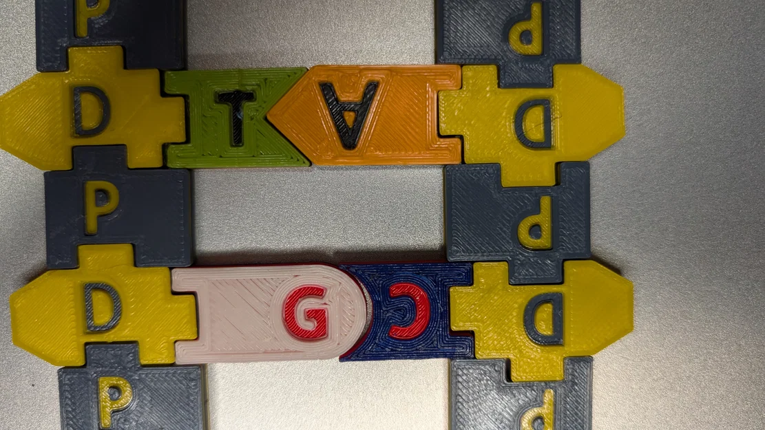 Magnetic DNA / RNA Tiles (Bộ gạch từ tính DNA / RNA) - Image 3